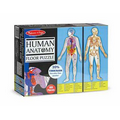 Human Anatomy Floor Puzzle